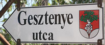 Straßenschild Gesztenye utka